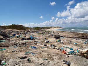 Plastic Planet